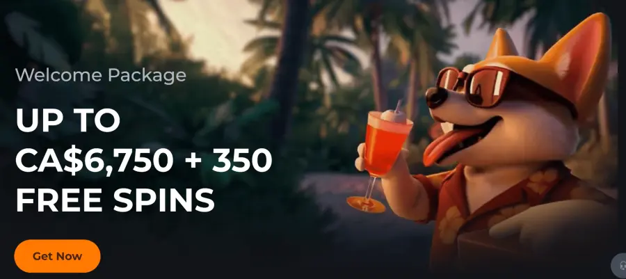 Corgibet casino bonus